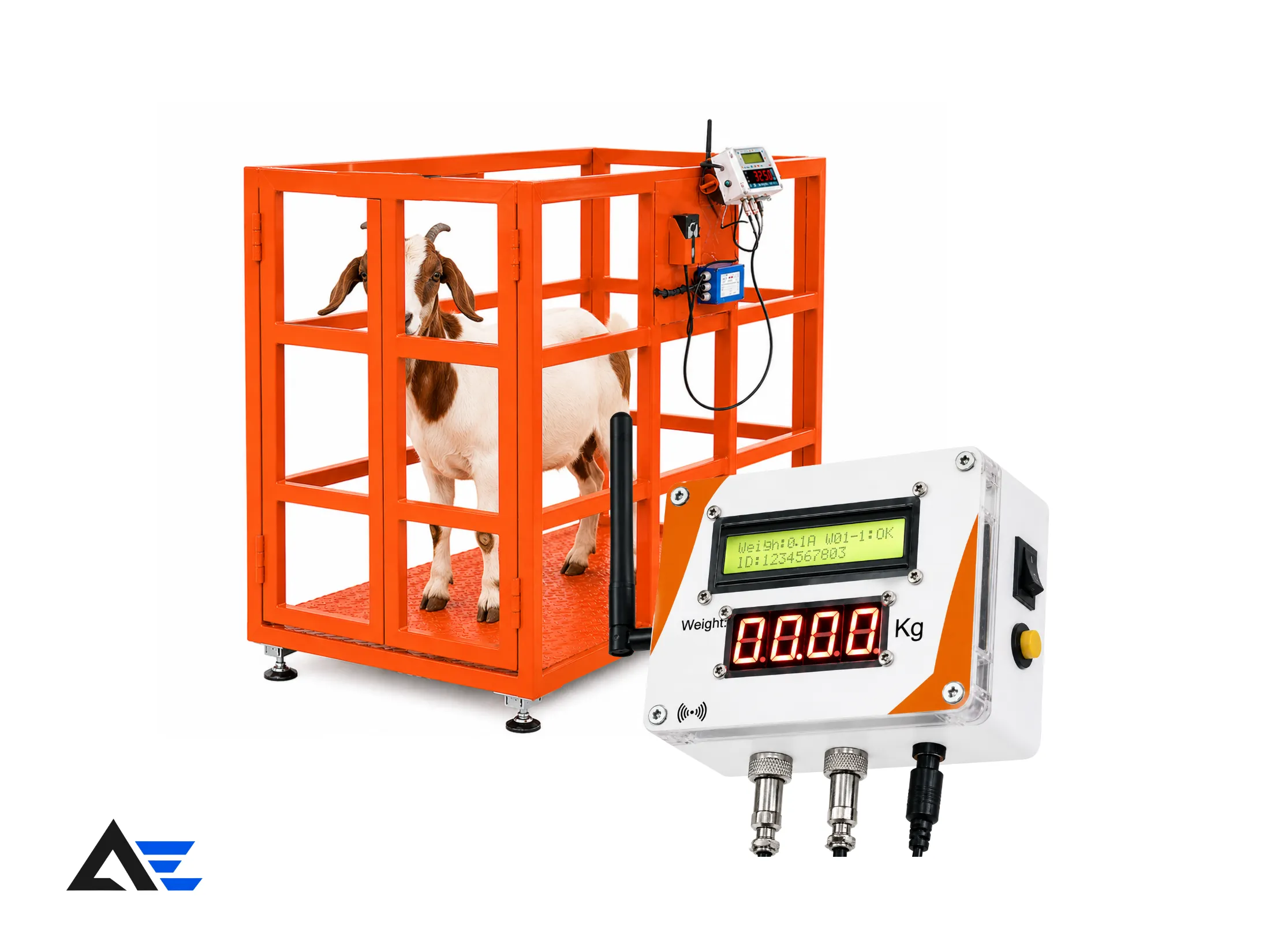 IoT-Based Livestock Weighing System
